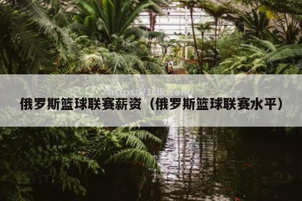 俄罗斯篮球联赛赛程公布，球队新赛季布局清晰