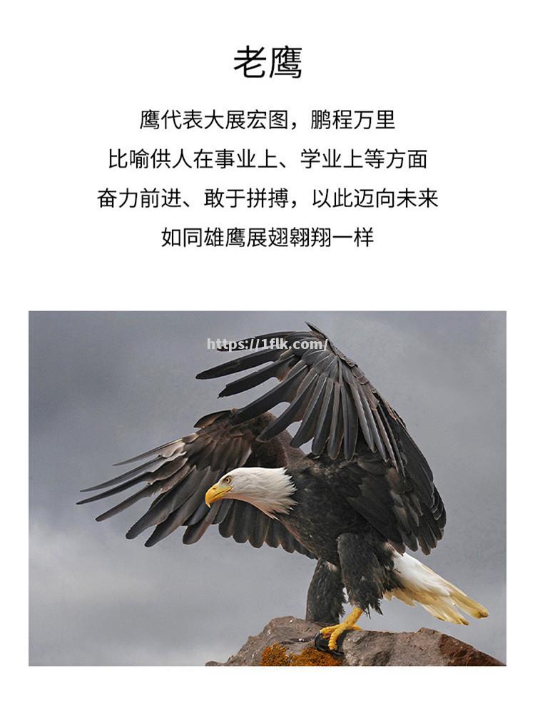 老鹰全员拼搏，取得宝贵胜利